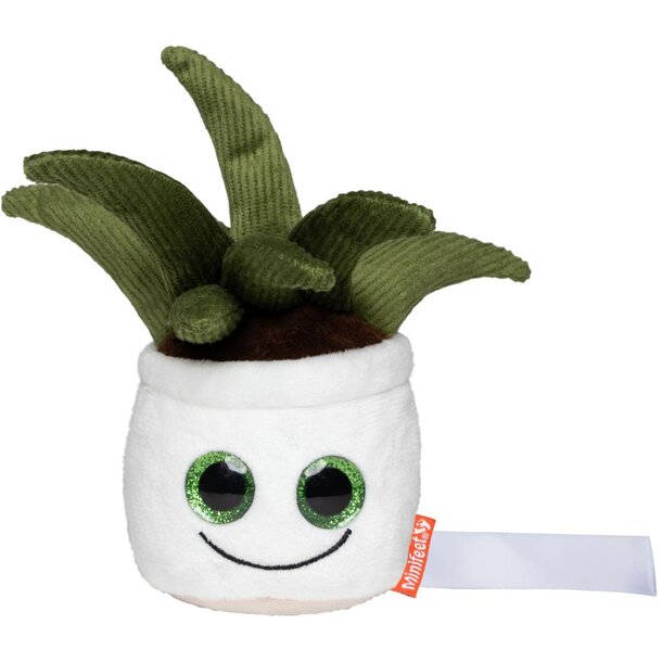 Schmoozies Evergreenies Aloe Vera
