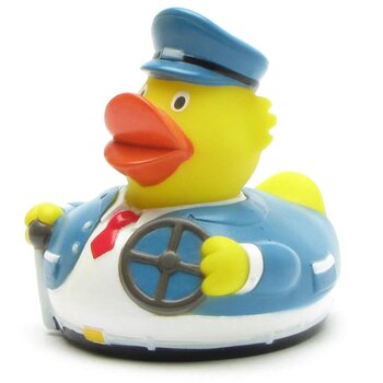 Busfahrer Badeente