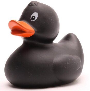 Badeente schwarz mit orangem Schnabel