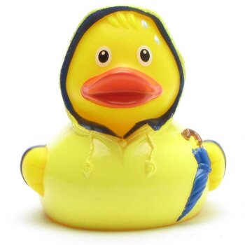 Fahranfänger Badeente