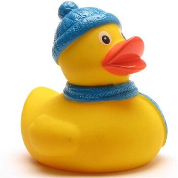 Winter Badeente
